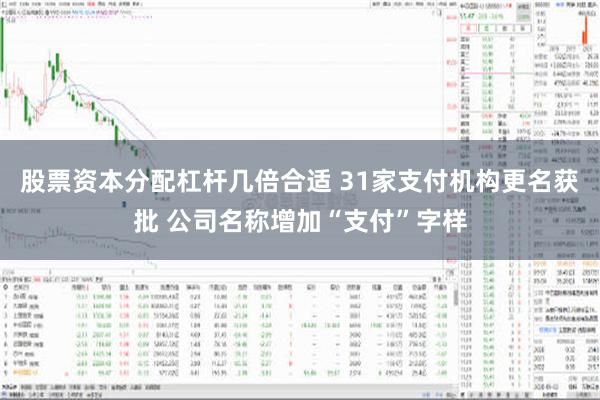 股票资本分配杠杆几倍合适 31家支付机构更名获批 公司名称增加“支付”字样