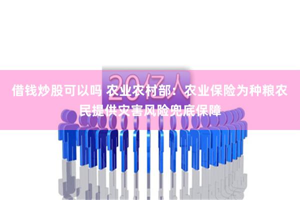 借钱炒股可以吗 农业农村部：农业保险为种粮农民提供灾害风险兜底保障