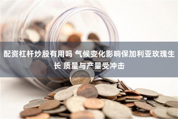 配资杠杆炒股有用吗 气候变化影响保加利亚玫瑰生长 质量与产量受冲击