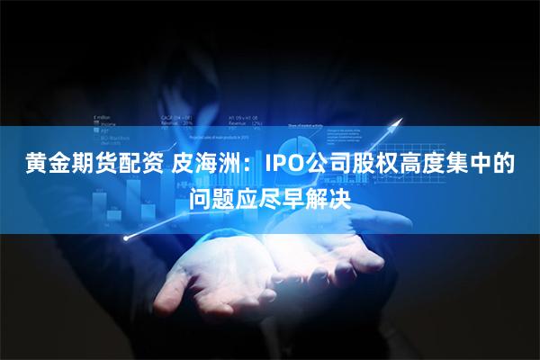 黄金期货配资 皮海洲：IPO公司股权高度集中的问题应尽早解决