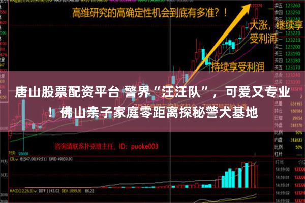 唐山股票配资平台 警界“汪汪队”，可爱又专业！佛山亲子家庭零距离探秘警犬基地