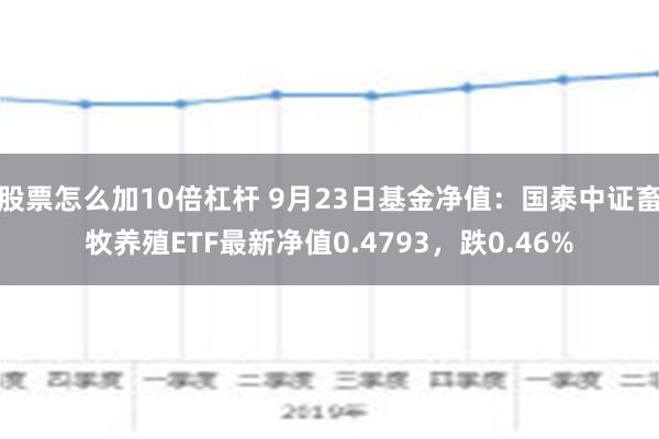 股票怎么加10倍杠杆 9月23日基金净值：国泰中证畜牧养殖ETF最新净值0.4793，跌0.46%