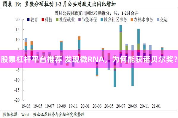 股票杠杆平台推荐 发现微RNA，为何能获诺贝尔奖？