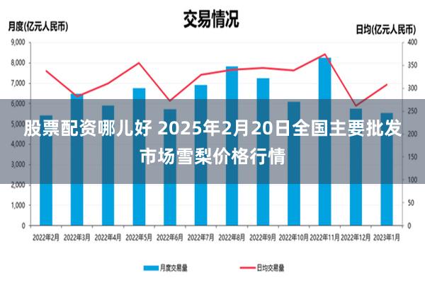 股票配资哪儿好 2025年2月20日全国主要批发市场雪梨价格行情